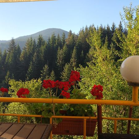 Guest House Stoletnika Yagodina Buitenkant foto