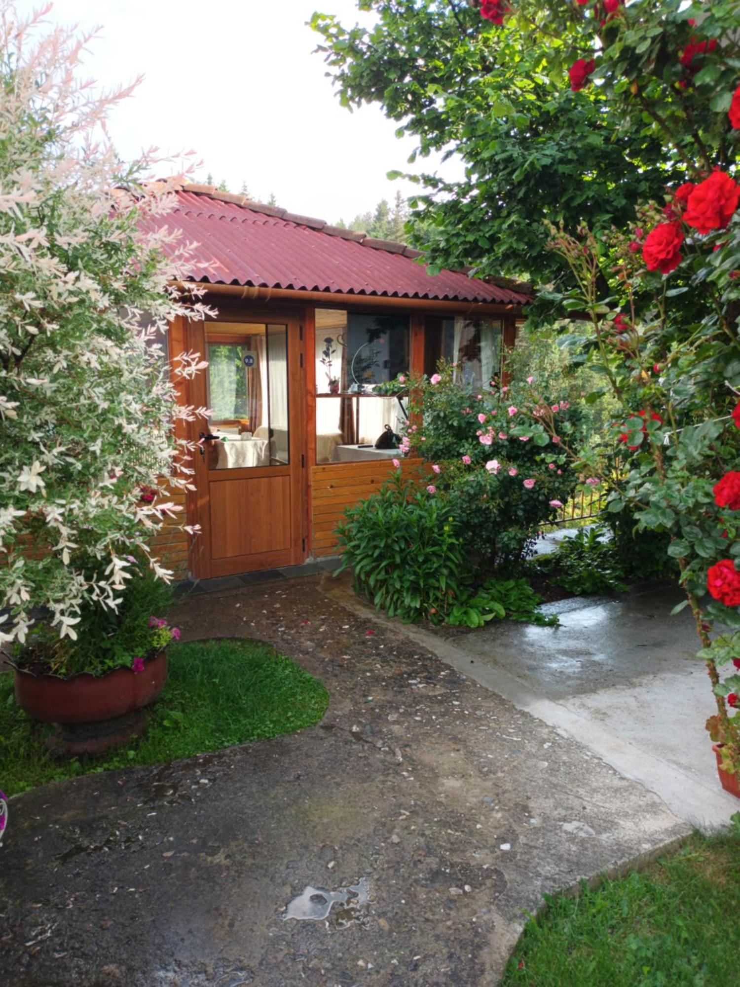 Guest House Stoletnika Yagodina Buitenkant foto