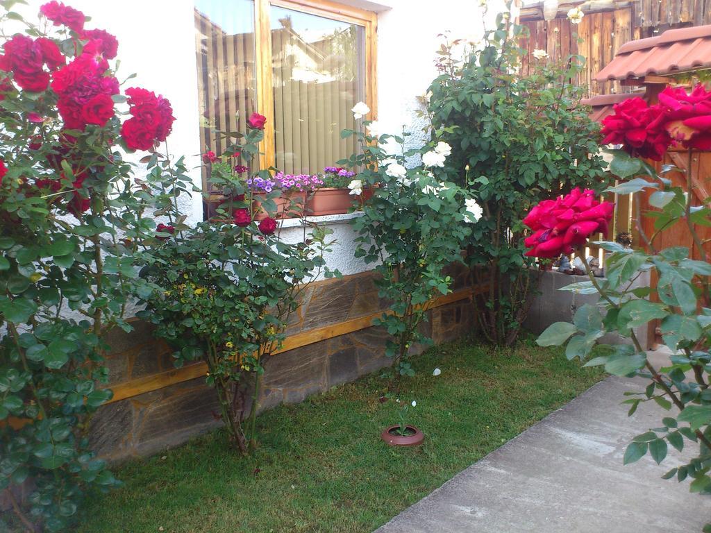 Guest House Stoletnika Yagodina Buitenkant foto