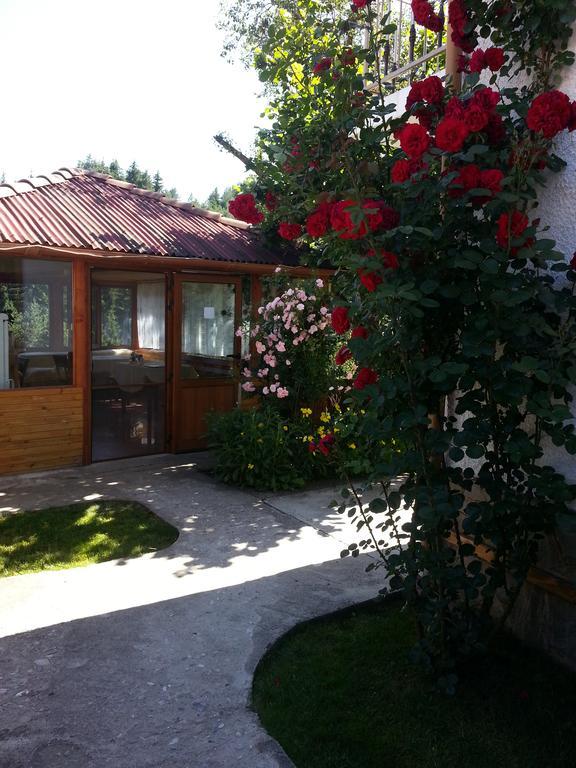 Guest House Stoletnika Yagodina Buitenkant foto